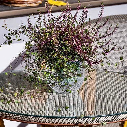 Eva crystal bowl